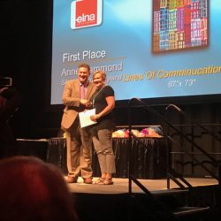 Winning Quilt in Houston 2017: Lines of communication#7